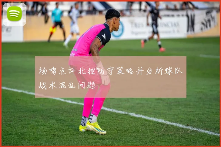 杨鸣点评北控防守策略并分析球队战术混乱问题