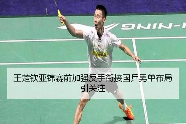 王楚钦亚锦赛前加强反手衔接国乒男单布局引关注 | IMSPORTS